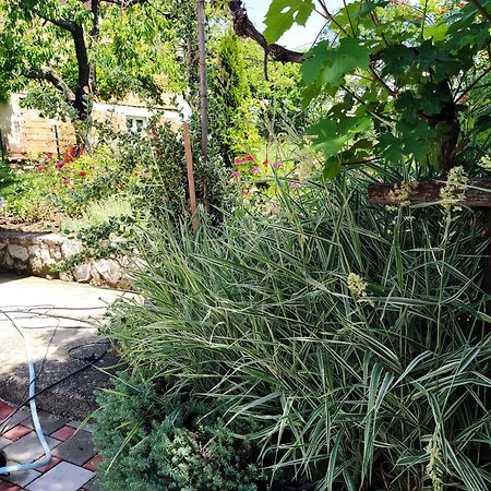 Guest House Bee Вісоко Екстер'єр фото