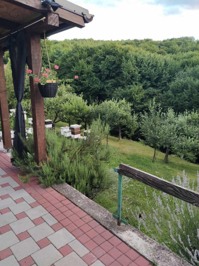 Guest House Bee Вісоко Екстер'єр фото