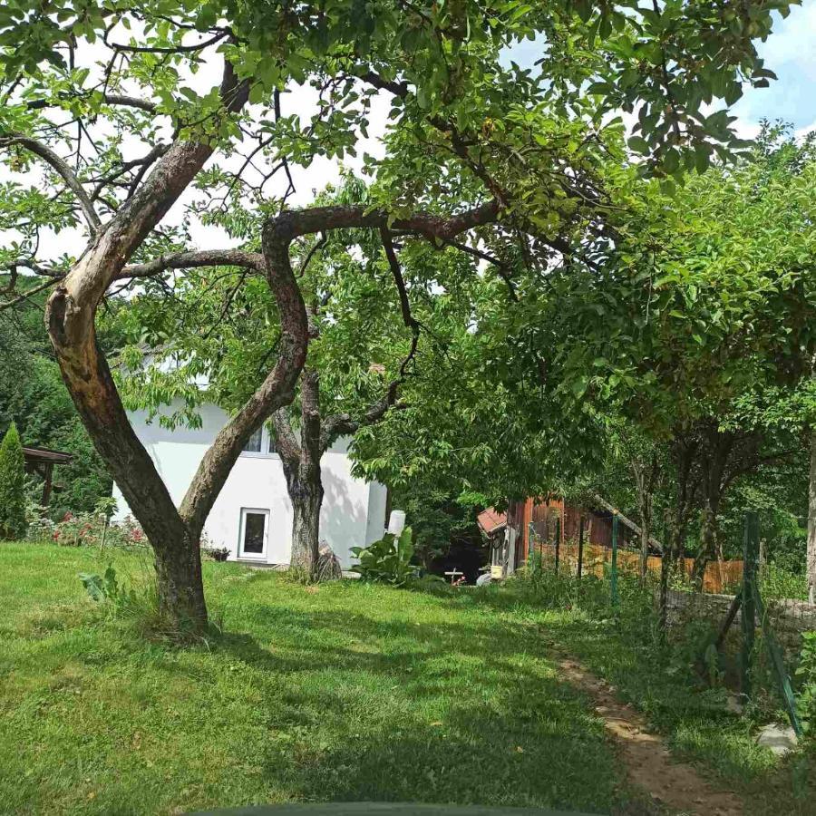 Guest House Bee Вісоко Екстер'єр фото