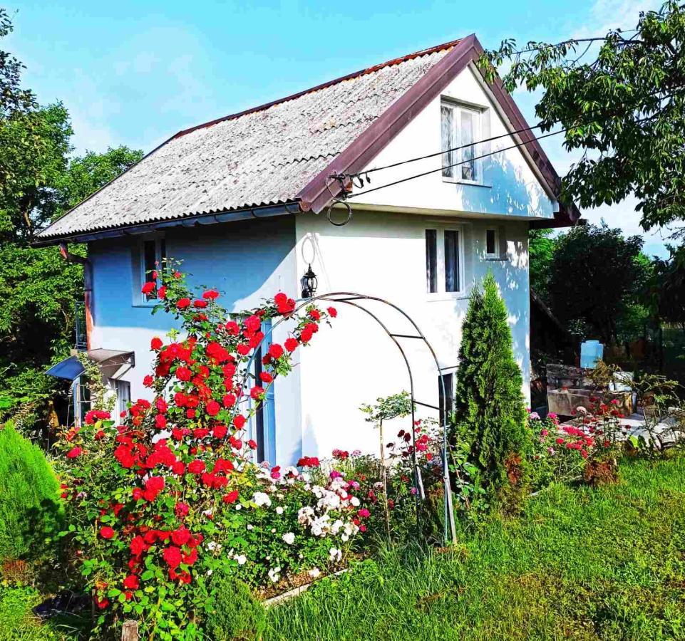 Guest House Bee Вісоко Екстер'єр фото