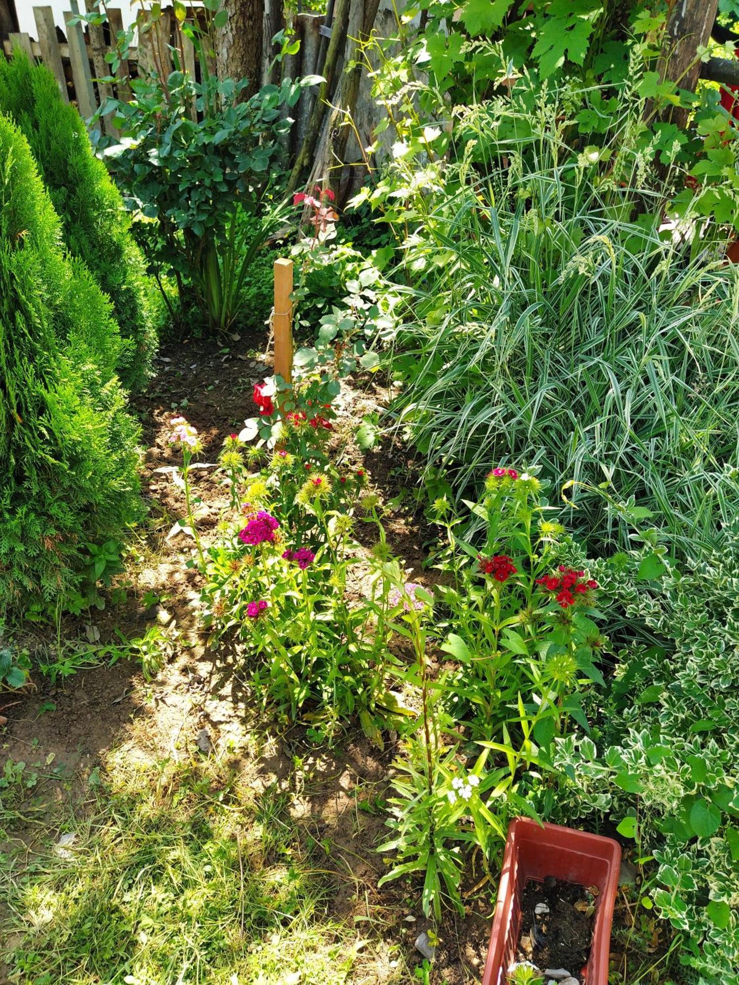 Guest House Bee Вісоко Екстер'єр фото