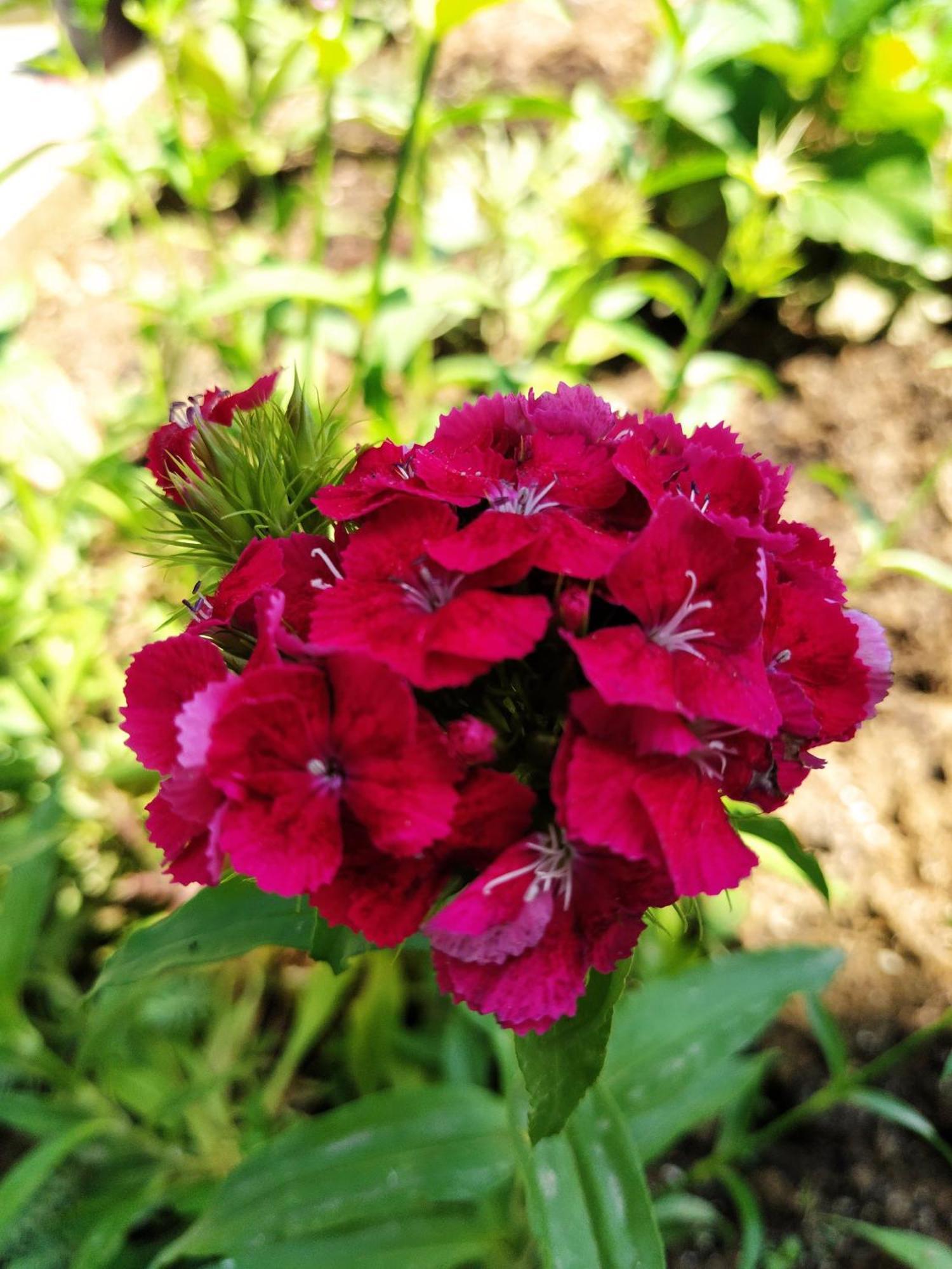 Guest House Bee Вісоко Екстер'єр фото